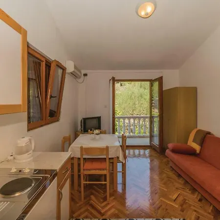 Apartment Komoseva *